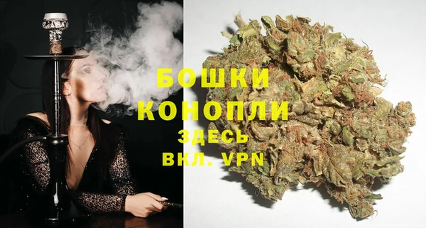 стаф Михайлов