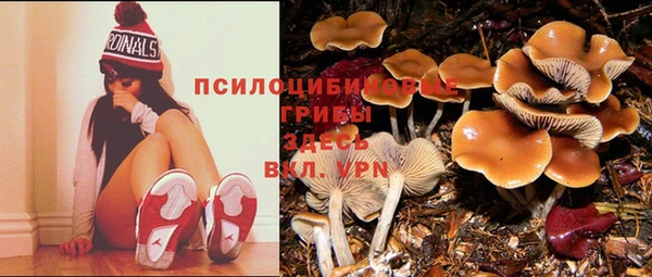 стаф Михайлов