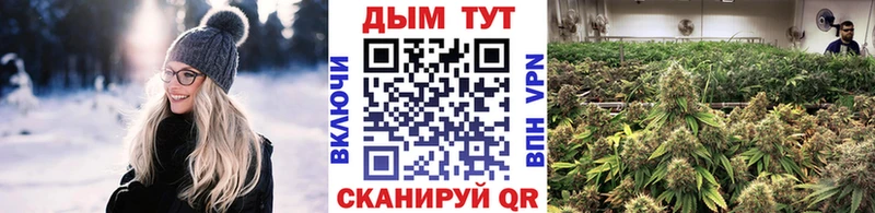 Бошки марихуана Bruce Banner  МЕГА онион  Химки  где найти  